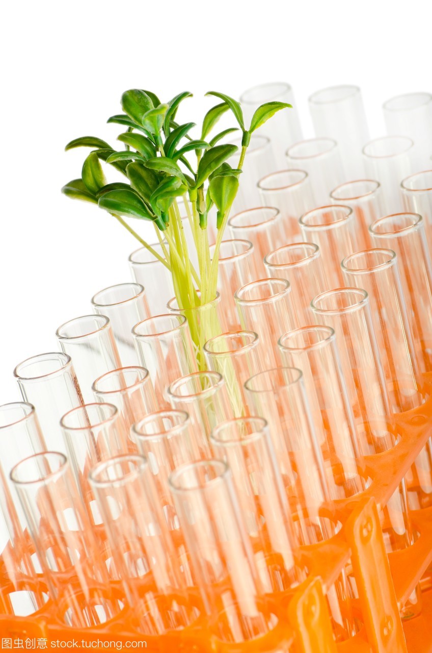 绿色实验室 植物生物技术如何重塑地球的可持续未来